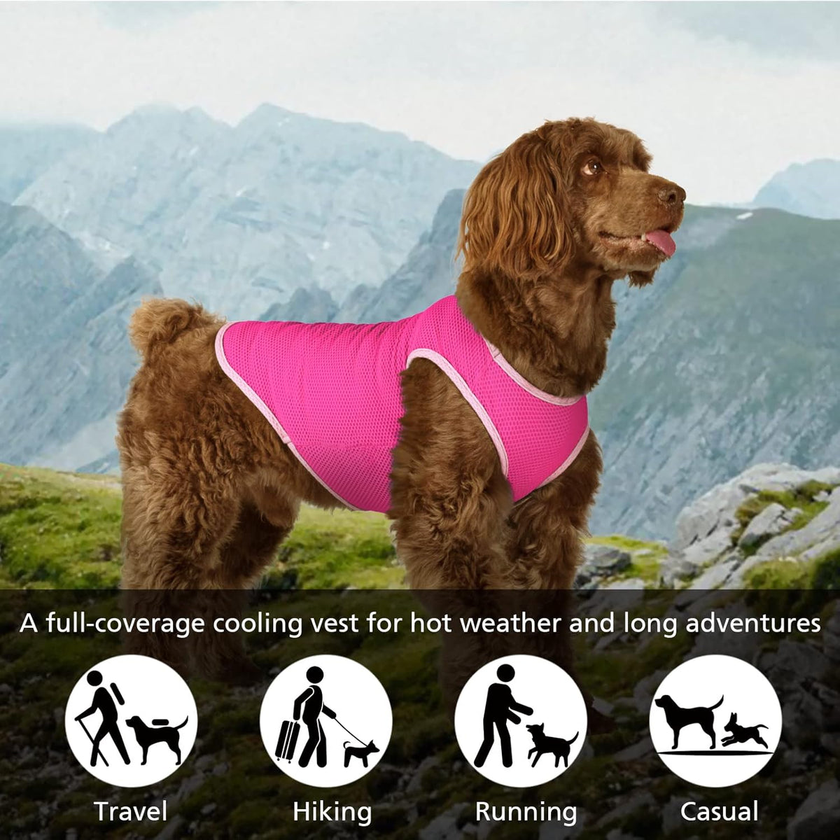 2 Pack Cooling Shirts for Dogs, Breathable Lightweight Dog Shirts for Small Dogs Girl, Sleeveless Sun Protection Shirt for Dog&Cat Puppy Vest Pet Apparel P23ST00601M