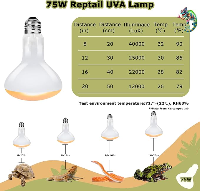 75W Reptile Heat Lamp Bulbs, 2.5 Inch UVA Amphibian Basking Spot Light for Bearded Dragon, Lizard, Tortoise & Chicks – Simulated Sunlight, Daylight Bulb for Aquariums and Tanks | 2 Pack