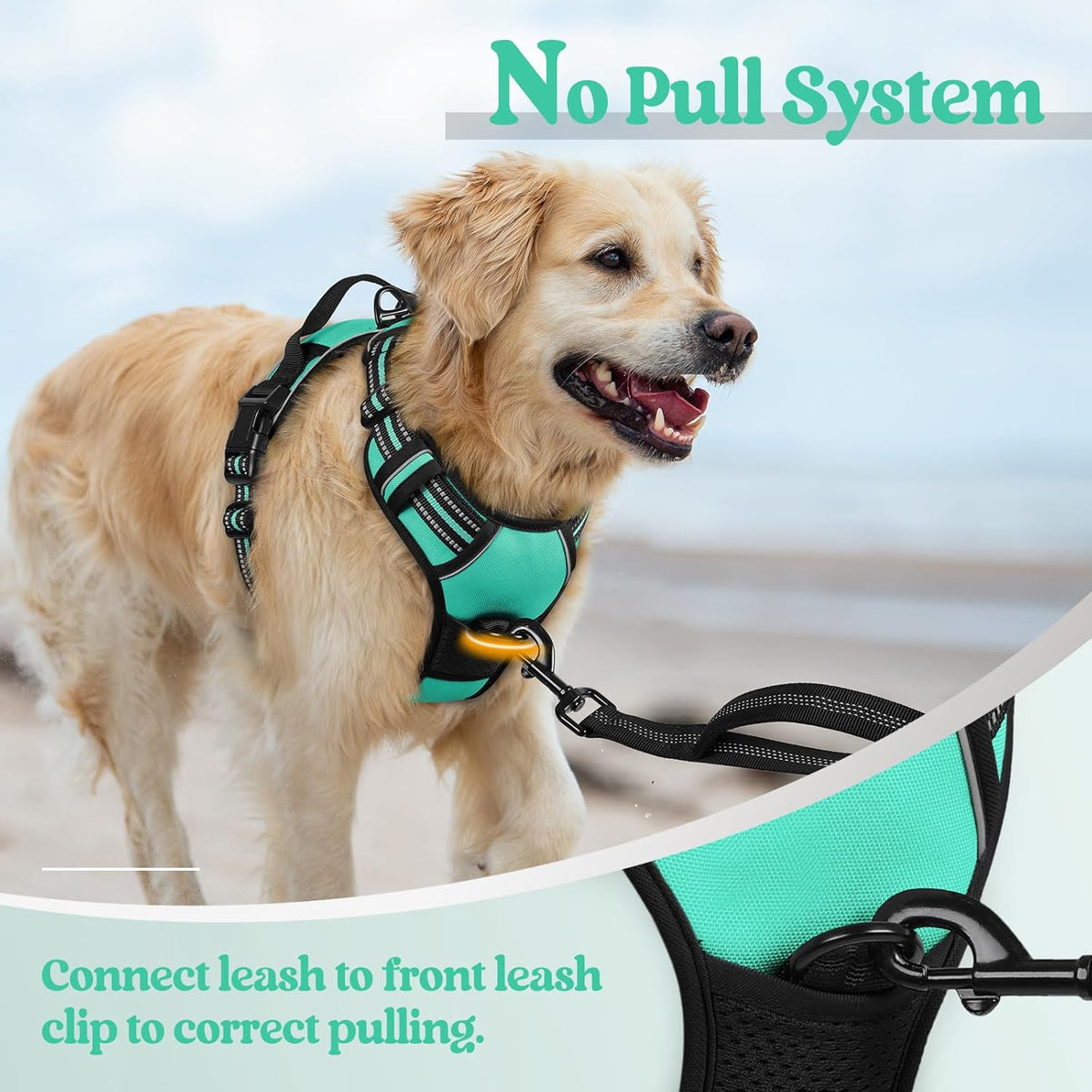 rabbitgoo Dog Harness No Pull with 2 Leash Clips, Adjustable Soft Padded, Reflective Oxford No Choke Pet Vest with Easy Control Handle for Large Dogs, Turquoise, L