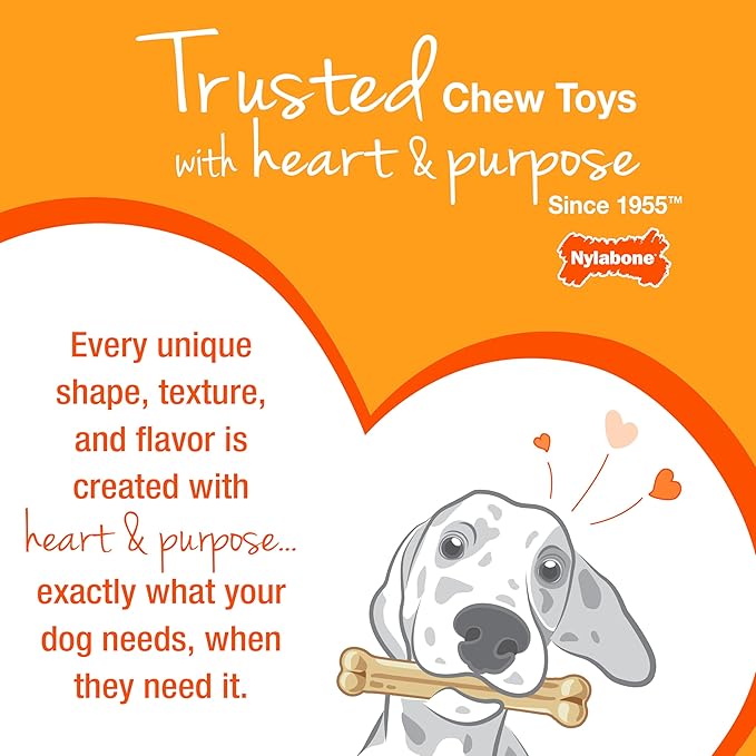Nylabone Ring Bone Chew Toy for Puppies, Puppy Teething Toys, Puppy Enrichment Toys, Chicken Flavor, X-Small Dogs - Up to 15 lbs, 1 Count