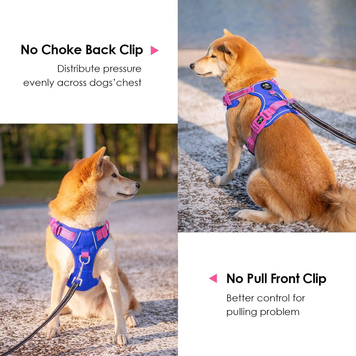 PHOEPET No Pull Dog Harness, Unique Colors Reflective Adjustable Dog Vest, with Soft Training Handle Metal Clips for Small Medium Large Dogs (Royal Blue Base & Pink Straps,S)