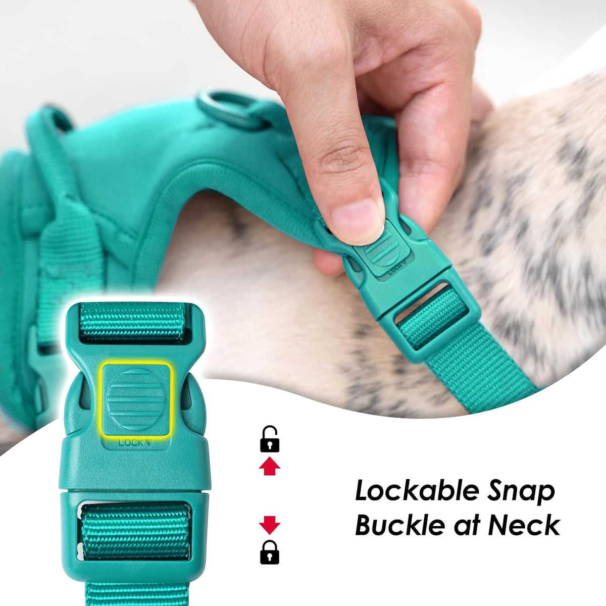 No Pull Dog Harness, Puppy Vest with Front Clip for Small Medium Large Sized Dog(MARRS Green,S)