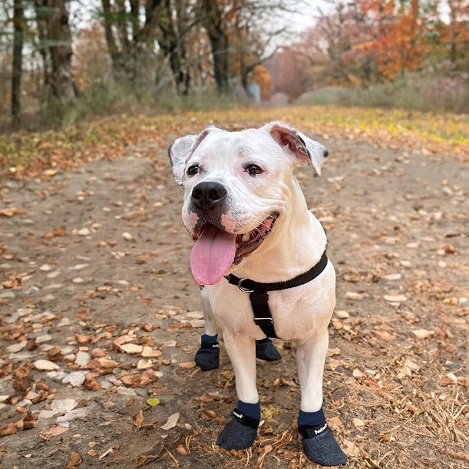 Double Dipped Thick Textured Waterproof Cotton Dog Socks | PawFlex Comfy Pawz Soft Indoor/Outdoor Pet Booties | Non-Slip Silicone Grip at Inner Wrist for No Twisting or Sliding Off| Adjustable Strap