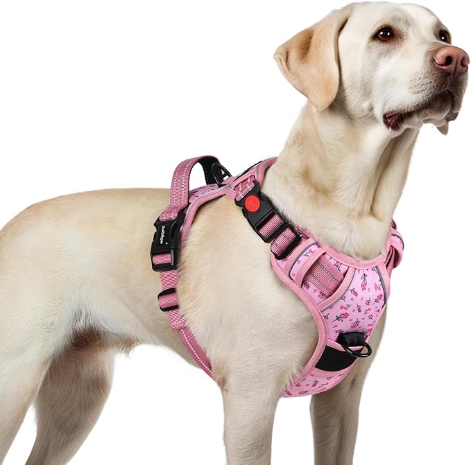 rabbitgoo Dog Harness for Large, No Pull Pet Harness with 3 Buckles, Adjustable Soft Padded Vest with Control Handle, Walking Reflective Pet Vest for Large Dogs, Floral Pink, L