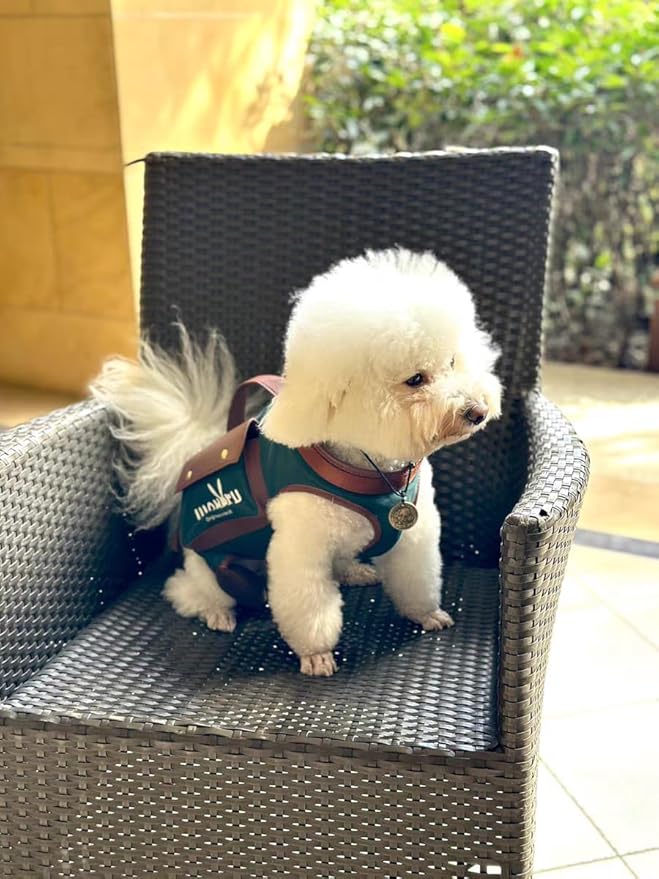 Dog Lift Harness Dog Carrier Dog VES Harness Adjustable Dog Leash with Small Puppy Treat Bag（Green,M）