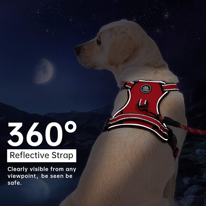 IVY&LANE No Pull Dog Harness for Large Dogs, Dog Vest Harness with Leash, Safety Belt and Storage Strap, Fully Adjustable Harness, 360° Reflective Strip, Soft Handle (Red, L)