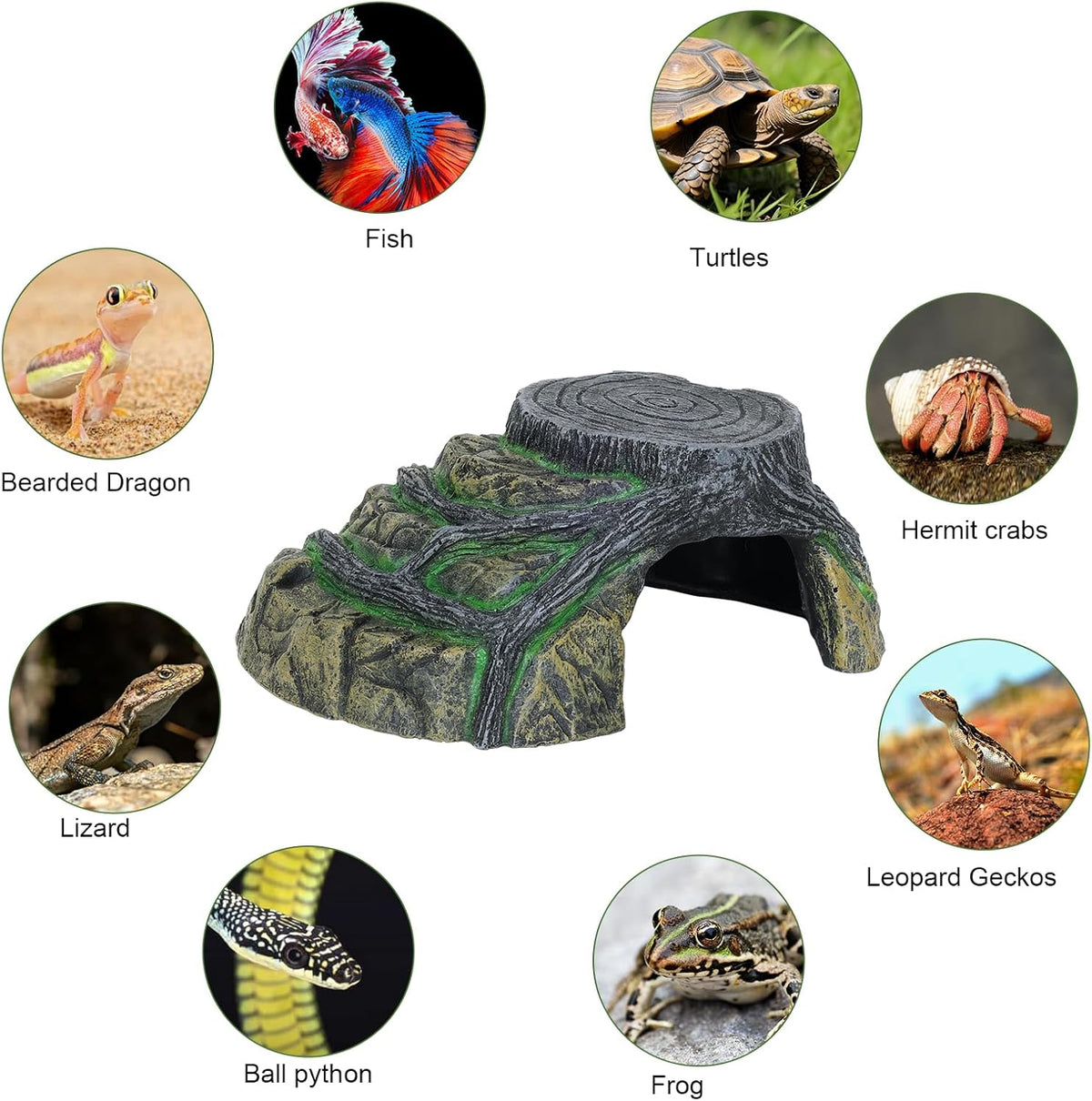 Gecko Tank Accessories, Tortoise Habitat Accessories, Ball Python Tank Accessories, Large Snake Hides, Perfect Terrarium Decor for Reptile Gecko Basking Humid Hiding (Large)