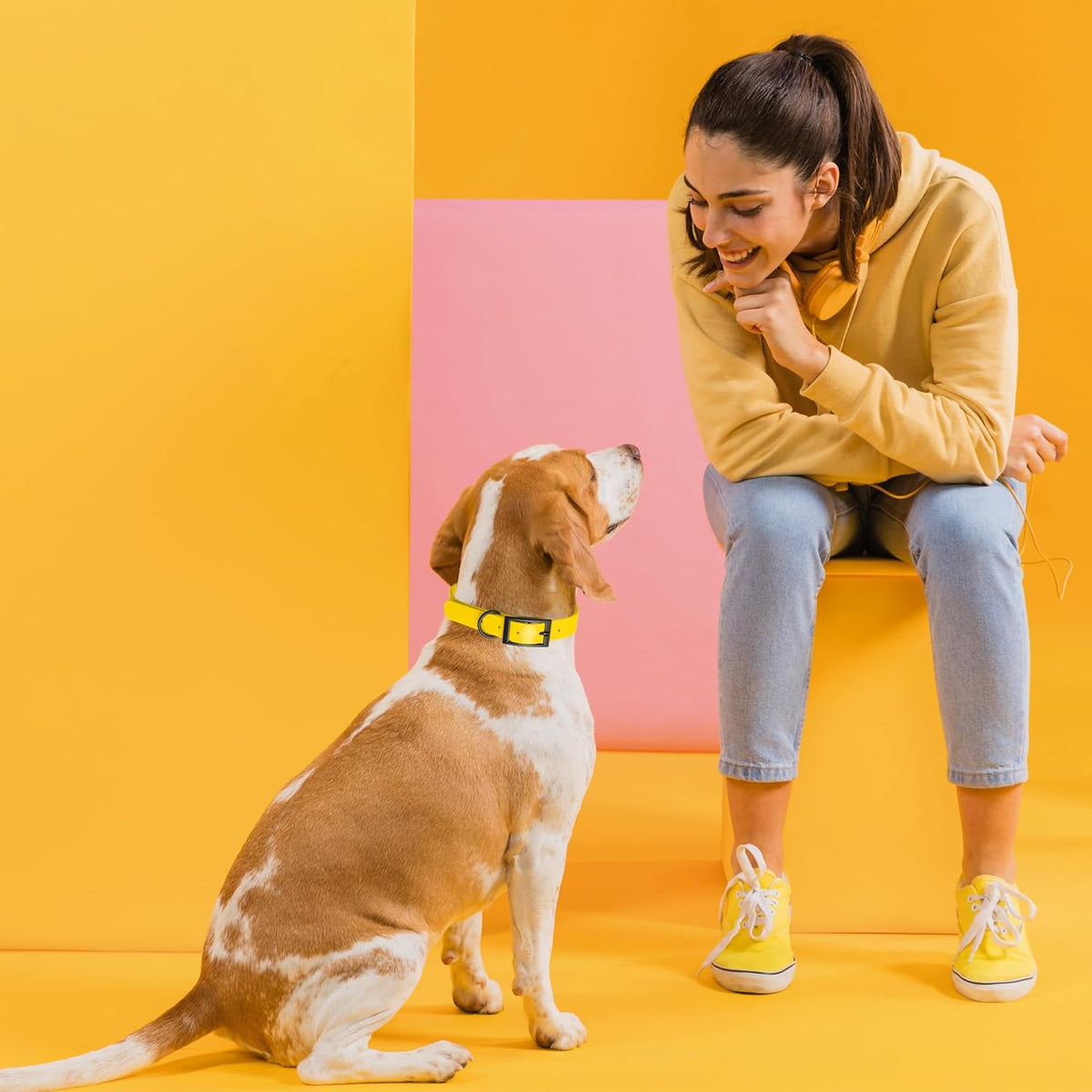 Dogline Biothane Waterproof Dog Collar Strong Coated Nylon Webbing with Black Hardware Odor- Proof for Easy Care Easy to Clean High Performance Fits Small Medium or Large Dogs, Lemon Yellow