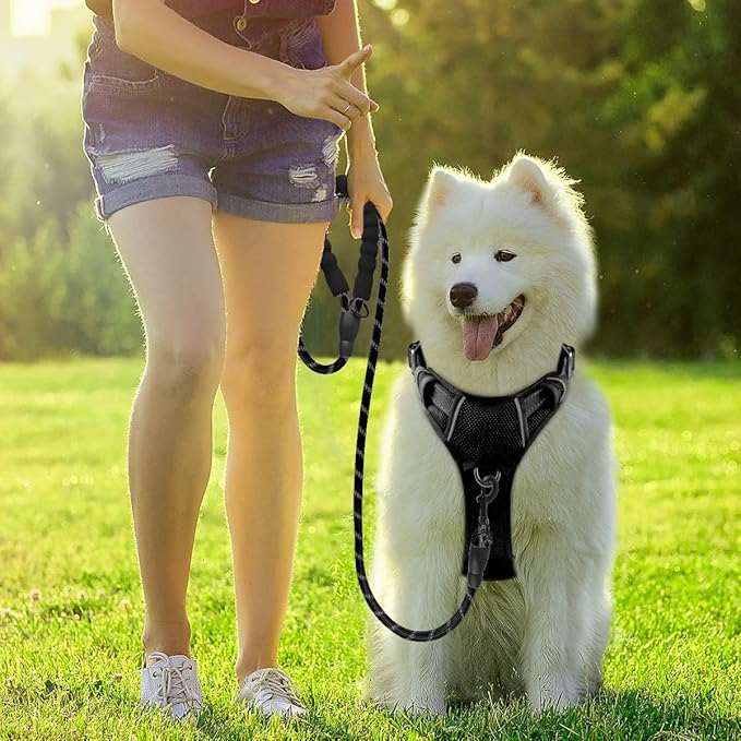 BARKBAY Dog Harness No Pull with ID Tag Pocket - Heavy Duty, Reflective, Easy Control for Small Dogs(Black,S)