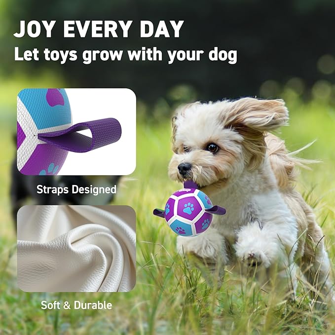 QDAN Small Dog Toys, Puppy Balls, Dog Balls with Straps for Small Breed, Soccer Ball for Dogs, Puppy Toys, Dog Birthday Gift (Purple Blue, 3.5 inch)