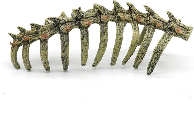Aquarium Skull Animal Skeletons, Reptile Tank Accessories, Fish Tank Decorations for Amphibians, Betta Fish, Shrimp, Hermit Crab, Leopard Gecko