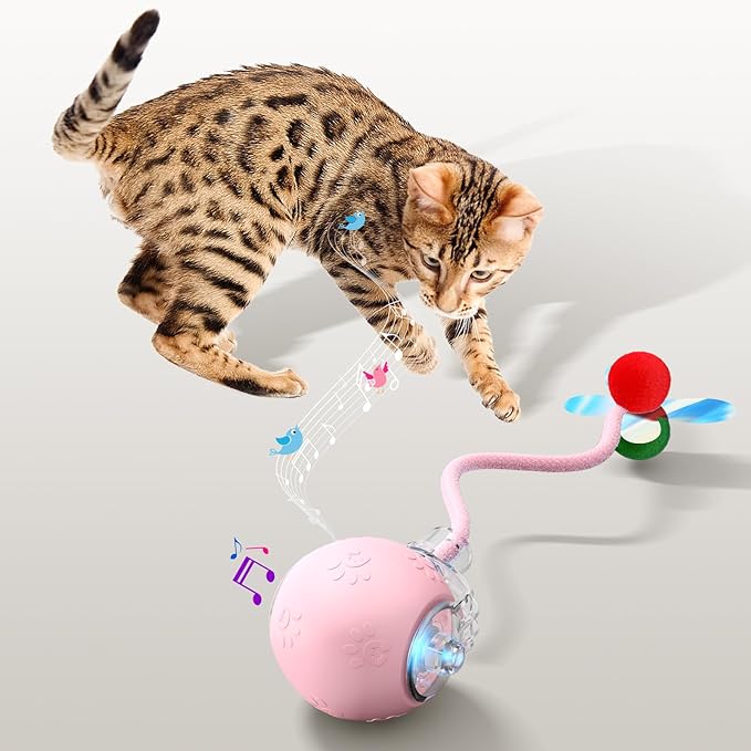 Interactive Cat Toys for Indoor Cats - Kitten Toy with Speedy Tail 2.0, Automatic Cat Toys for Bored Indoor Adult Cats, Motion-Activated, 2025 New Upgraded, USB Rechargeable (Pink)