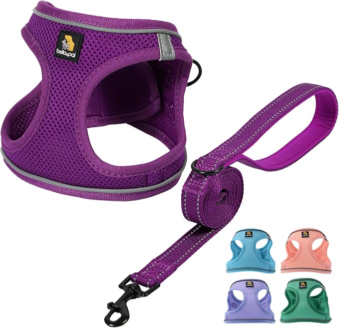 BELLA & PAL Step in Vest Harness for Small and Medium Dogs, No Pull Small Dog Harness with Leash Set, Comfortable Air Mesh Dog Vest Harness with Reflective Strip (Grape Purple, S)