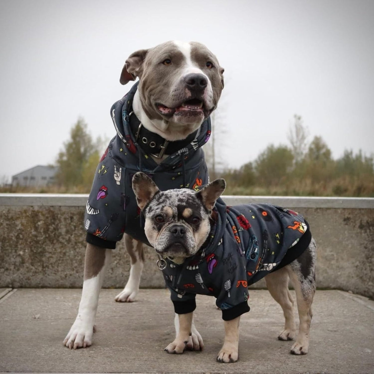 Spark Paws Dog Hoodie – Premium Dog Sweater for Small, Medium, and Large Dogs | Warm Outfits for French Bulldogs, Pitbull, Puppy, Winter Jacket Alternative - Rock and Roll - L