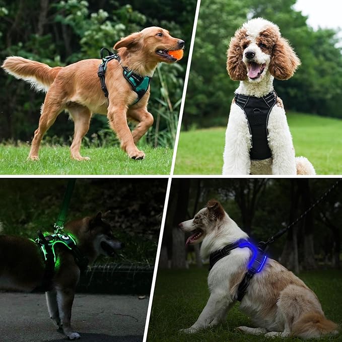 Taglory Light Up Dog Harness, Rechargeable No Pull Dog Vest with 3 Lightning Modes, Reflective Dog Harness with 2 Leash Clips & 4 Adjustable Slide Strips for Large Dogs, Turquoise-Green, XL