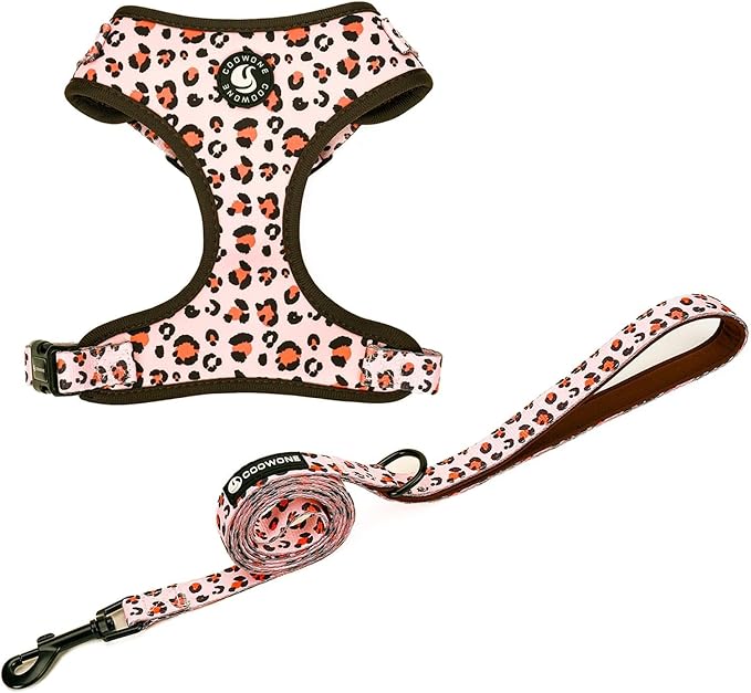 Dog Cat Harness and Leash Set, Puppia Soft Mesh Padded and Adjustable Puppy Vest Cute Dog Clothes Escape Proof Easy Walk Pet Accessories