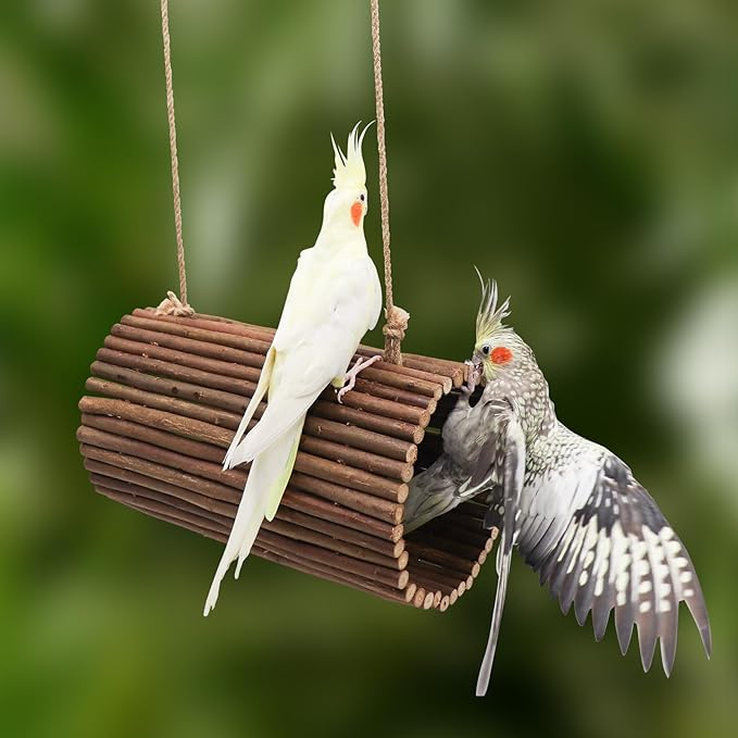 Bird Parrot Swing Toys, Hanging Bird Perch Stand, Natural Willow Wood Parrot Hammock, Bird Cage Accessories, Suitable for Little Bird Parakeets Cockatiels Lovebirds Hamster Rat (6.3" in Diameter)
