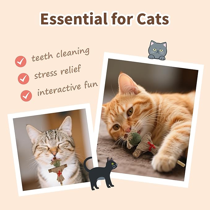 Catnip Toy for Indoor Cats Silvervine Sticks Scarecrow