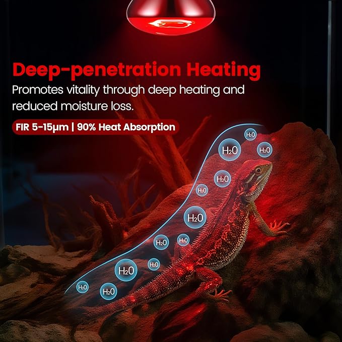 Dual Reptile Lamp Fixture with 100W Daytime Heat & 100W Nighttime Infrared Heat Bulbs, 2 Independent Switches, Reptile Heat Lamp Combo Pack - No UVB