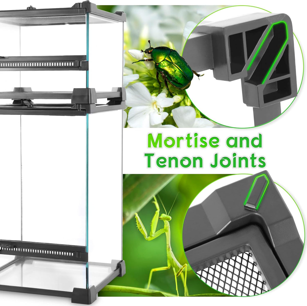 Mini Reptile Glass Terrarium 8"x8"x6" Durable Reptile Habitat Tank with Heat Resistant Aluminum Alloy Frame, Single Swinging Doors for no Jam by Sand and Other Debris