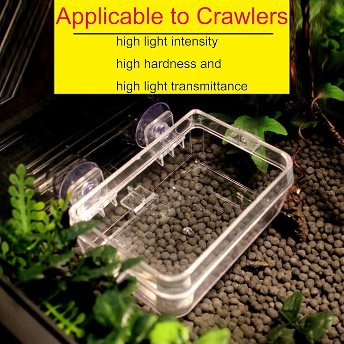 Tfwadmx 2 Pcs Chameleon Bowl, Reptile Feeding Food, Water Dish Gecko Worm Feeder Anti-Escape Chameleon Supplies Accessories for Lizard Bearded Dragon Snakes