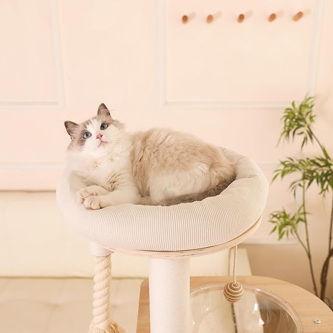 59" Modern Cat Tree Multi-Level Large Cat Tower Heavy Duty Cat Tree with Hammock,Cotton Scratching Post and Washable Cushions