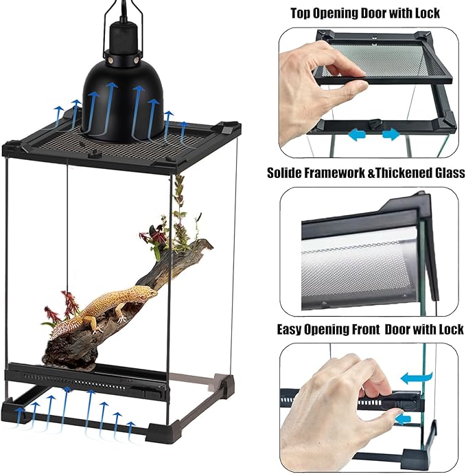 Woyrise Reptile Glass Terrarium Tank 8"x8"x12", Front & Top Opening Door Full View Visually Appealing Mini Reptile or Amphibians Habitat, Stackable Vertical Enclousure for Small Reptiles