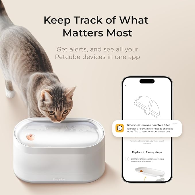 Petcube Pet Water Fountain | Automatic Wireless Water Fountain for Cats and Dogs with Ceramic Bowl, Easy to Clean, 4-Layer Filtration, in-App Filter Control, LED Light, Quiet Pump, Battery Operated