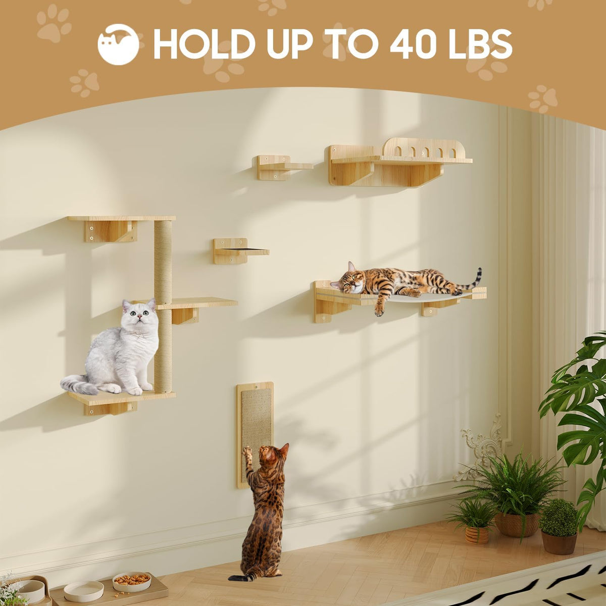 Cat Wall Shelves, Set of 6 Wooden Cat Wall Furniture Includes Scratching Post with 3 Steps, Jumping Platform, Hammock and Scratcher Board for Kittens