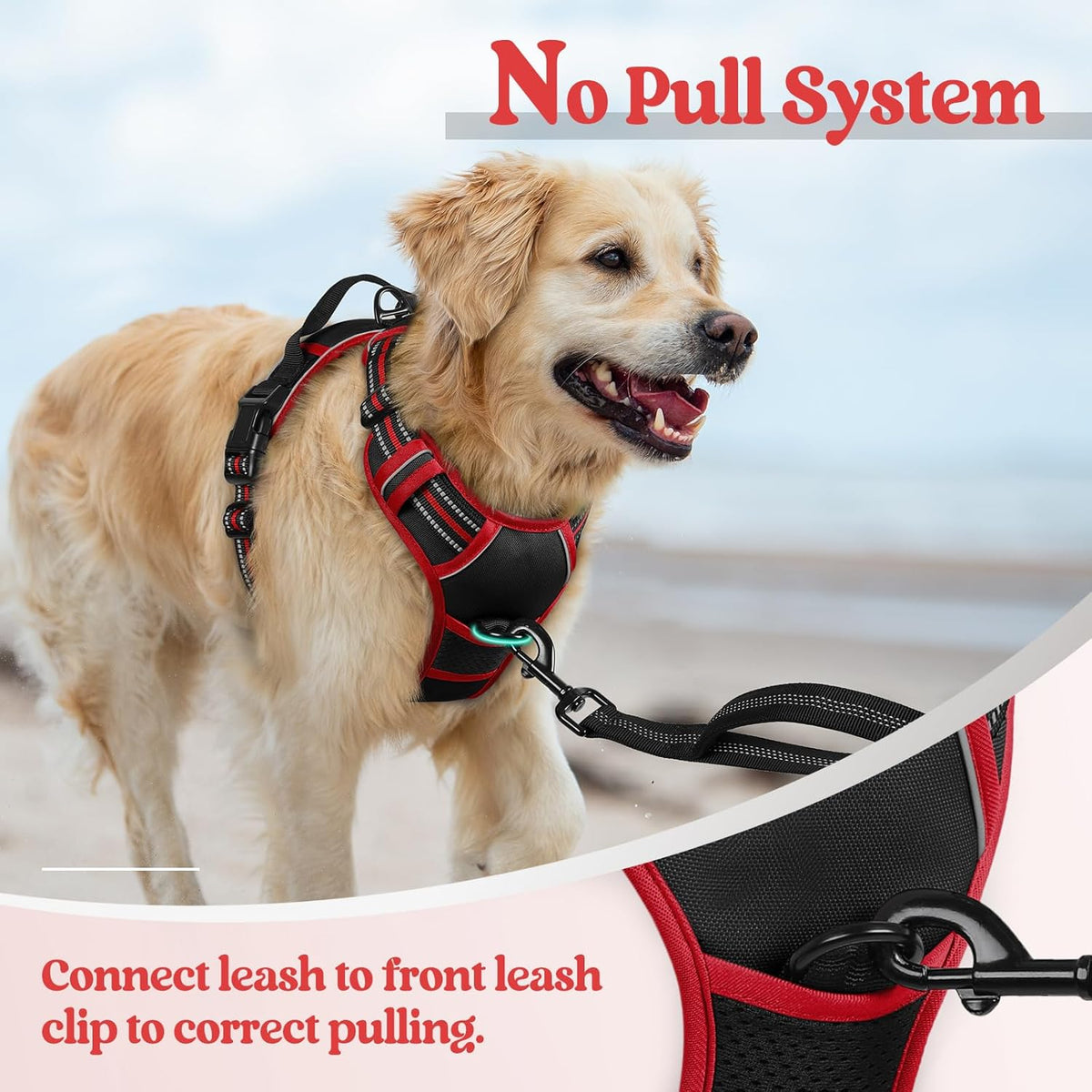 rabbitgoo Dog Harness No Pull with 2 Leash Clips, Adjustable Soft Padded, Reflective Oxford No Choke Pet Vest with Easy Control Handle for Medium Sized Dogs, Black & Red, M