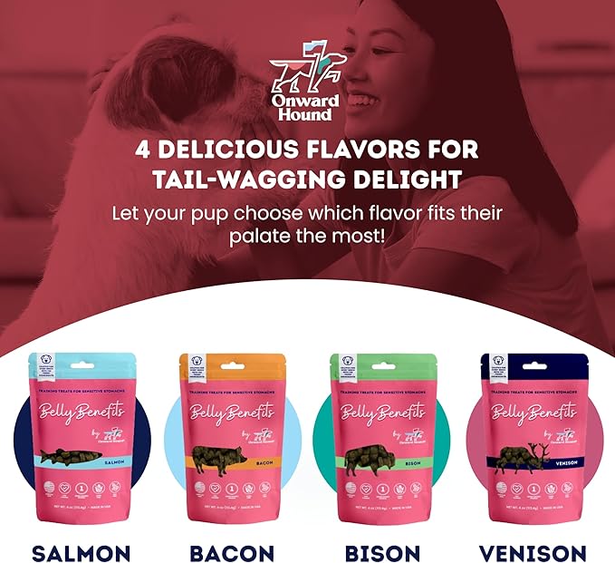 Training Treats for Dogs - Soft Salmon - Low Calorie Dog Training Treats for Sensitive Stomachs with Single Source Premium Protein, Corn Free, & Soy Free Formula - 10 oz
