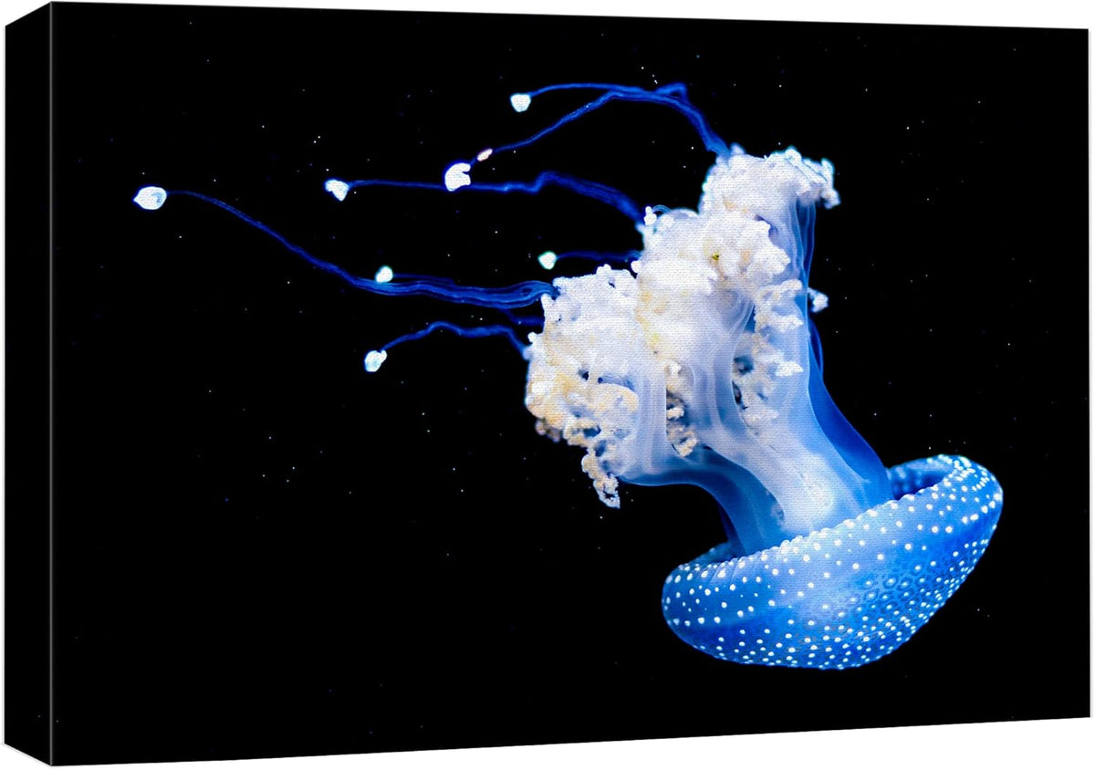 wall26 Canvas Print Wall Art Mystic Fantasy Tropical Blue X-Ray Jellyfish Nature Animals Photography Realism Rustic Scenic Landscape Wilderness Colorful for Living Room, Bedroom, Office - 24"x36"