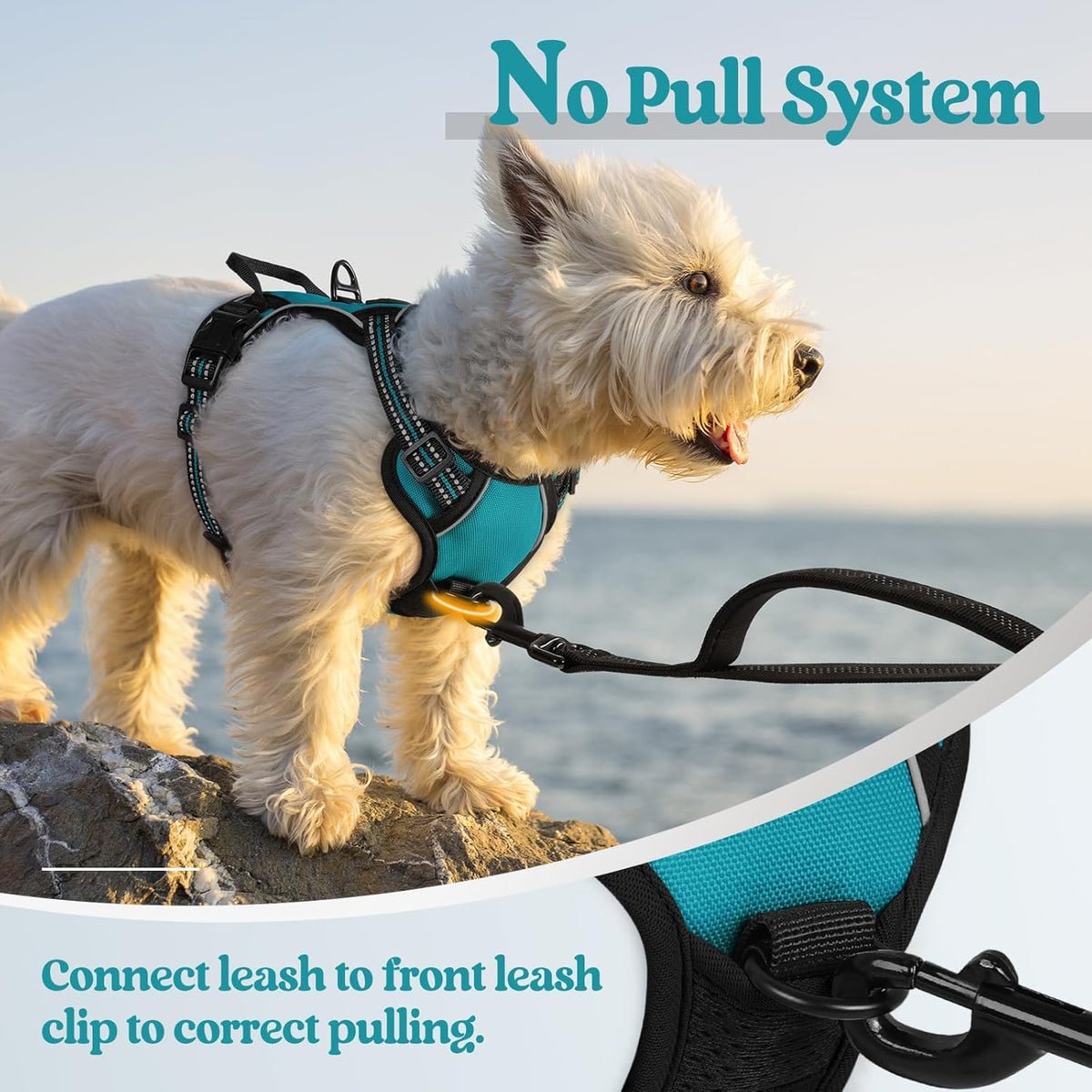 rabbitgoo Dog Harness No Pull with 2 Leash Clips, Adjustable Soft Padded, Reflective Oxford No Choke Pet Vest with Easy Control Handle for Puppy, Teal, XS