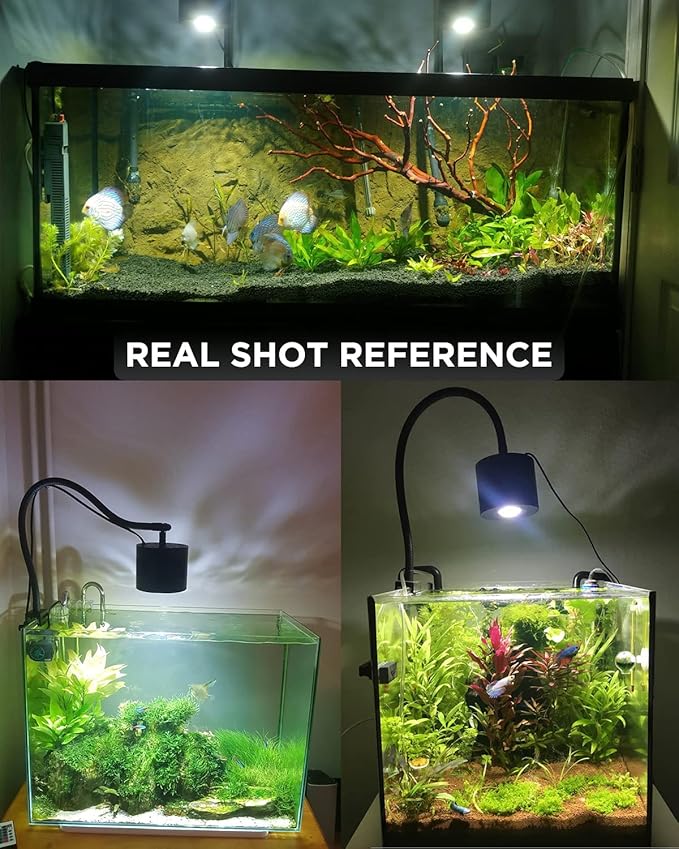 Lominie Aquarium LED Light 10 Gallon Fish Tank Light Timer Clip on Aquarium Lamp Full Spectrum 80W 6500k for Freshwater Refugium Cube Tank with Gooseneck