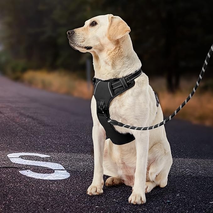 IVY&LANE No Pull Dog Harness for Medium Dogs, Dog Vest Harness with Leash, Safety Belt and Storage Strap, Fully Adjustable Harness, 360° Reflective Strip, Soft Handle (Black, M)