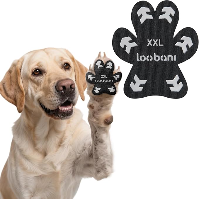 Loobani Paw Pads for Dogs Traction: Anti Slip Dog Paw Grippers for Senior Dogs Walking on Hardwood Slippery Floors - Dog Paw Protector Stickers for Prevent Licking & Wound Care, Easy Using