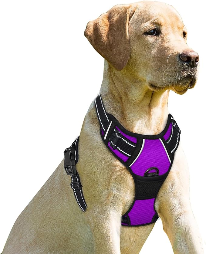 BARKBAY No Pull Dog Harness Front Clip Heavy Duty Reflective Easy Control Handle for Large Dog Walking(Purple,XS)