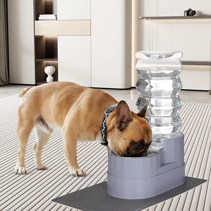 RIZZARI Large Water Dispenser for Dogs: 8L Gravity Gray Automatic Stainless Steel Waterer - 100% BPA Free - Raised Pet Feeder for Senior Dogs with Joint Pain in Bedroom Garden