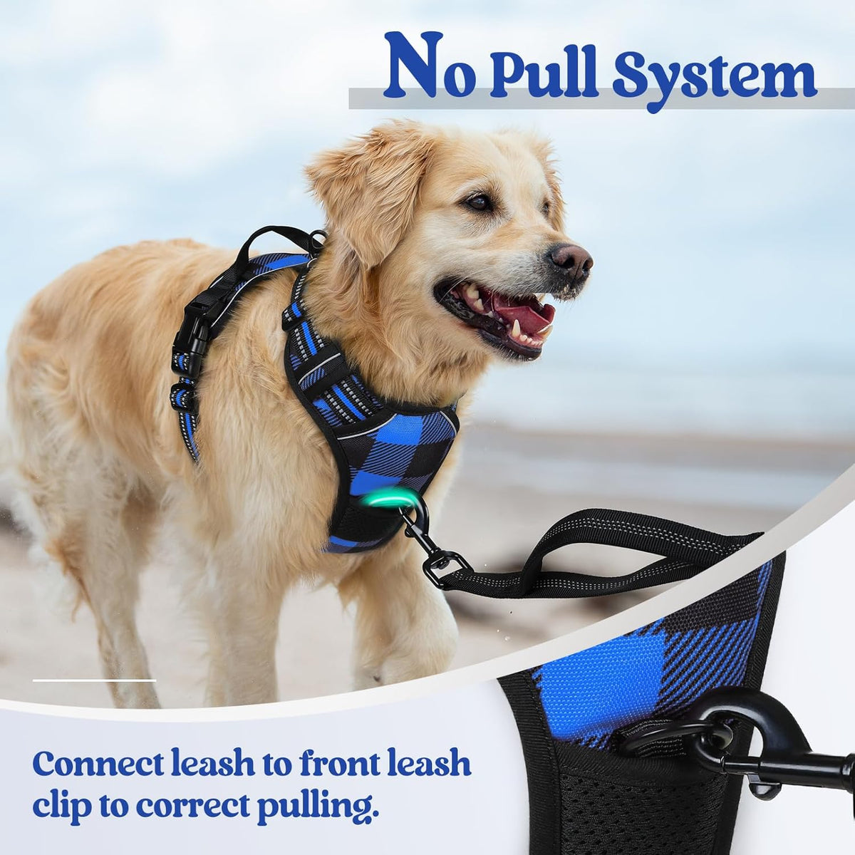 rabbitgoo Dog Harness No Pull with 2 Leash Clips, Adjustable Soft Padded, Reflective Oxford No Choke Pet Vest with Easy Control Handle for Large Dogs, Blue Plaid, L