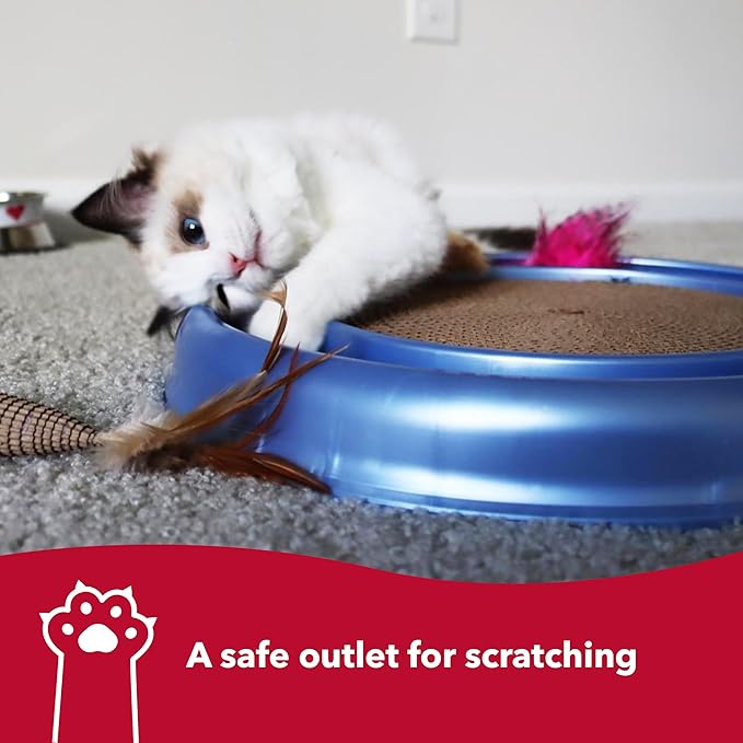 Coastal Pet Turbo Scratcher Cat Toy - Cardboard Cat Scratcher Pad with Cat Toy Ball Track and Catnip (1 Pack)