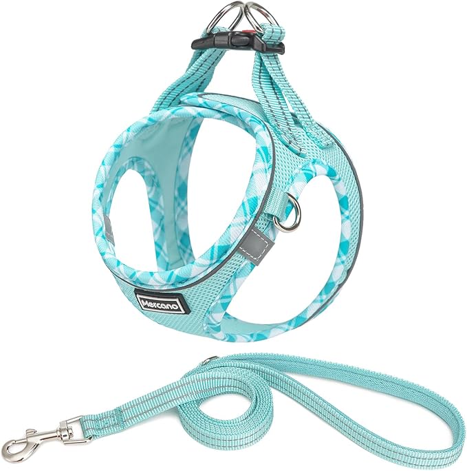 Mercano Soft Mesh Dog Harness and Leash Set, No-Chock Step-in Reflective Breathable Lightweight Easy Walk Vest Harnesses with Safety Buckle for Small Dogs, Cats (Light Blue, XS)