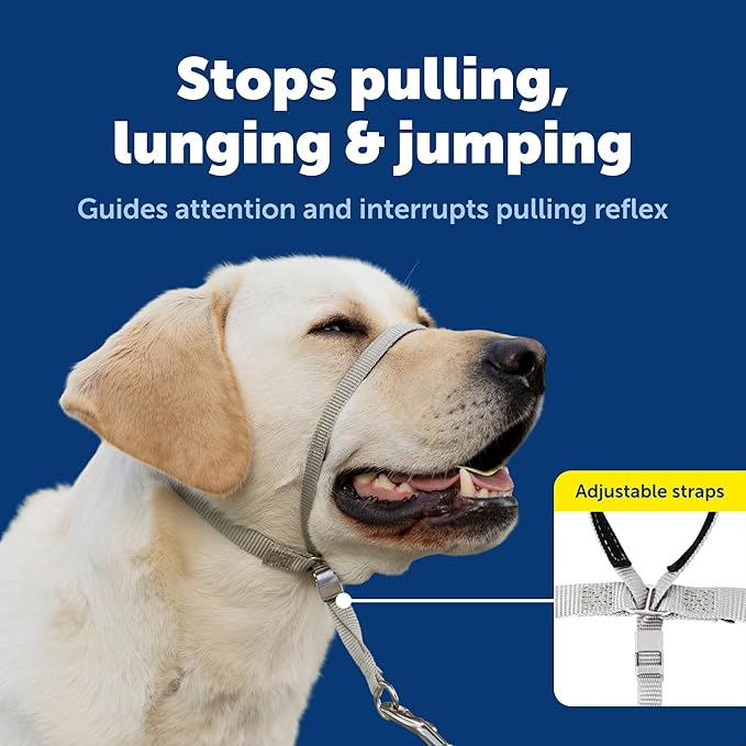 PetSafe Gentle Leader Headcollar No-Pull Dog Collar - Helps Improve Walks - Durable Nylon Construction - Padded Nose Loop - Adjustable Fit - Comfort Walking Halter - Large, Charcoal