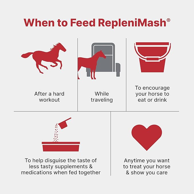 Purina | RepleniMash™ Product | Horse Mash (7 lb)