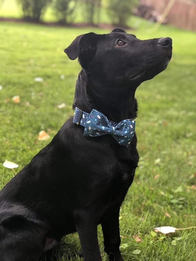 Elegant little tail Dog Collar with Bow, Cotton & Webbing, Bowtie Dog Collar, Adjustable Dog Collars for Small Medium Large Dogs and Cats