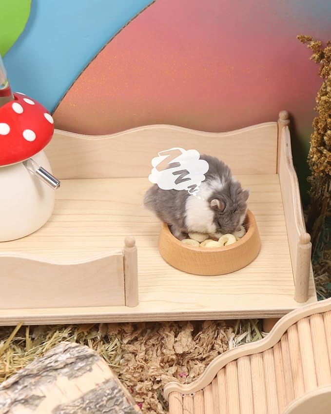 Niteangel Hamster Snack & Treats Toy: - Small Animal Natural Treat Mix for Dwarf Syrian Robo Hamsters Gerbils Mice Lemmings Degus or Other Small-Sized Pets