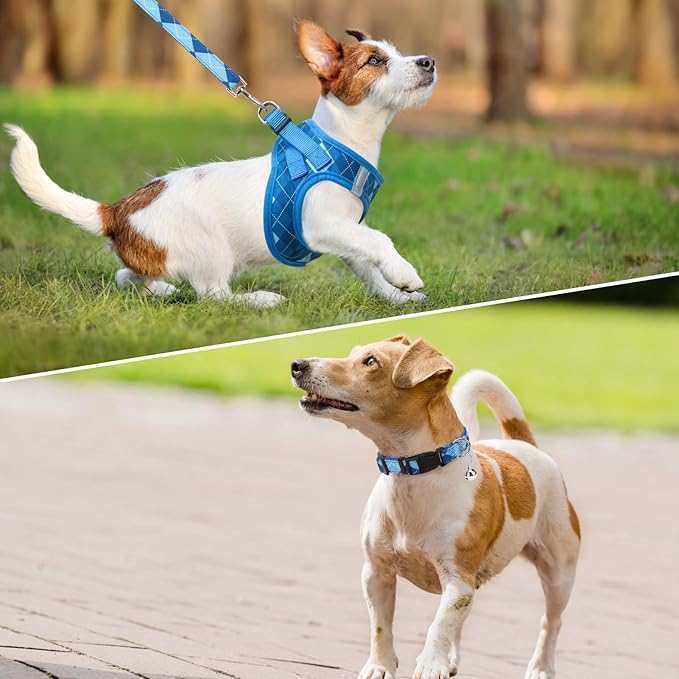 SCENEREAL Small Dog Harness and Leash Collar Set, Step in No Pull Soft Mesh Dog Harnesses for Small Medium Sized Dogs Puppy and Cats Outdoor Walking, No Chock Reflective Vest Harness, Blue Plaid S
