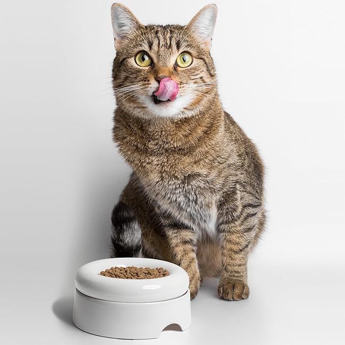 CatGuru Cat Food Bowl, Ceramic Bowls for Indoor Cats, No Spill Cat Feeding Bowl, Whisker Stress Free Kitten Bowls, Non Skin Pet Bowls for Food and Water (Torus - Set of Two, White)