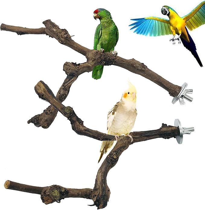 Allazone 4-Piece Bird Perch - Natural Grapevine Stick Swing Chewing Toys for Parrot Cages, Cockatiels, Parakeets, Finches
