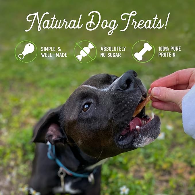 Beg & Barker Chicken Jerky for Dogs (10 Ounce, Pack of 2) - Dog Training Treats - Natural Dog Treats Made in The USA - Grain Free, Diabetic-Friendly, High Protein, Sugar-Free