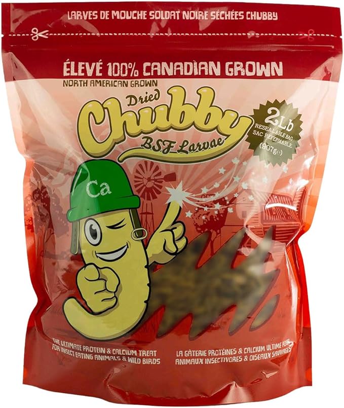 2Lbs Chubby Dried Black Soldier Fly Larvae 100% Made in North America High Calcium Sustainable Dried BSF Larva for Chickens Protein Snack for Laying Hens, Wild Birds & Reptiles